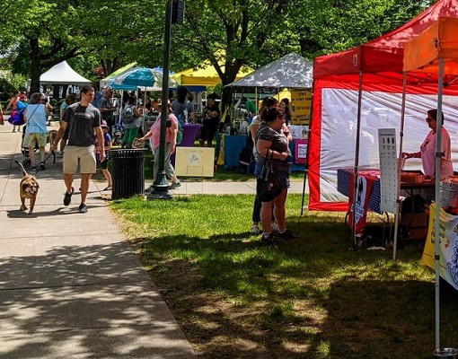 people and dogs at glens falls pet fest