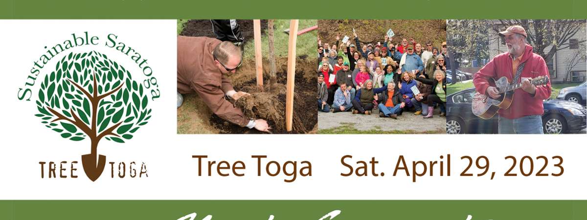 Tree Toga 2023 Graphic