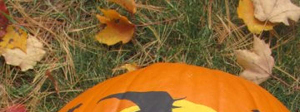 a pumpkin with a witch painted on front