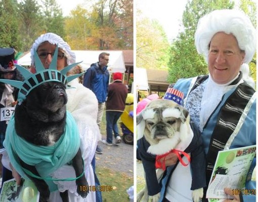 pugs and pumpkins