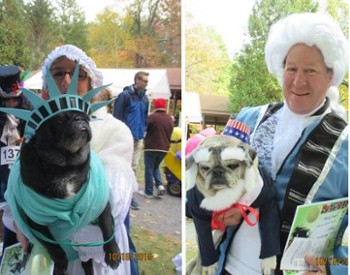 pugs and pumpkins