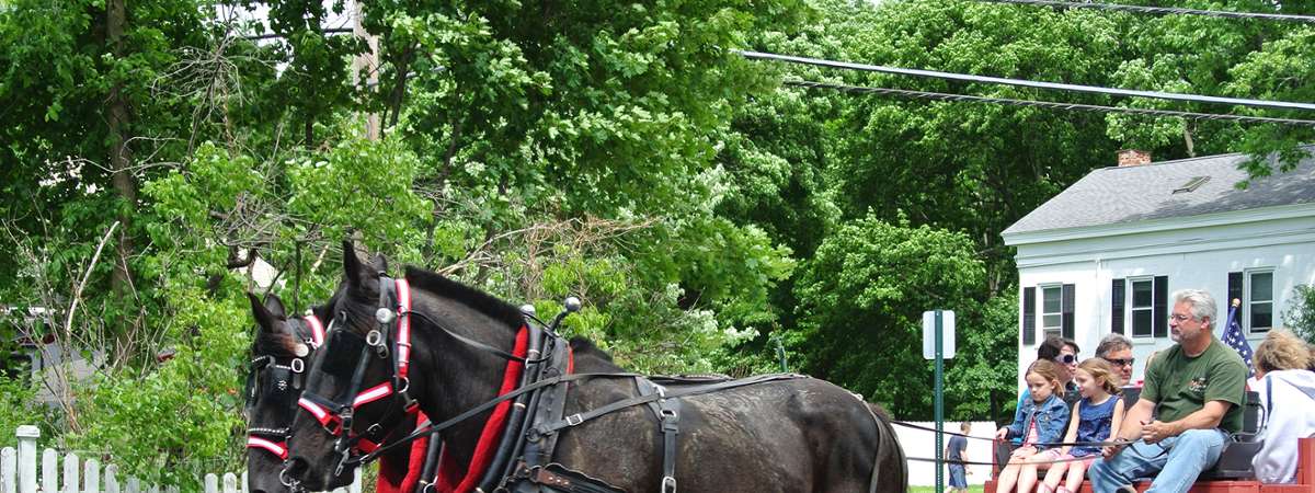 horse drawn wagon and carriage