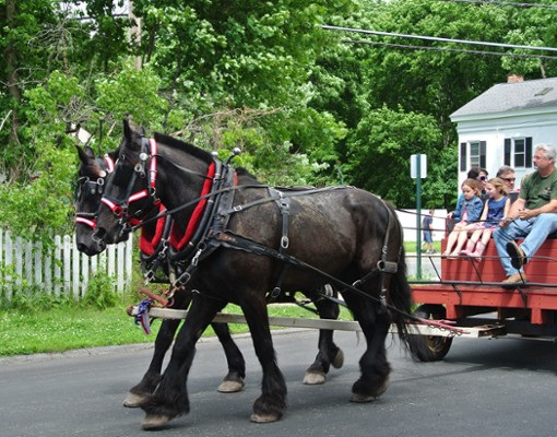 horse drawn wagon and carriage