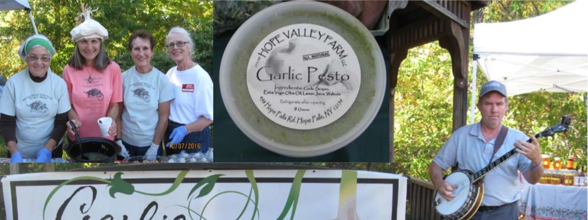 garlic and garlic festival banner