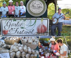 garlic and garlic festival banner