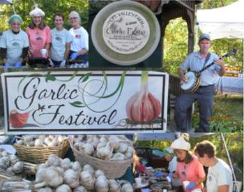 garlic and garlic festival banner