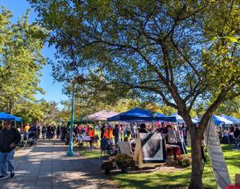 vendors at festival