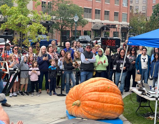 people standing by giant pumpkins