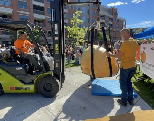 giant pumpkin weigh in