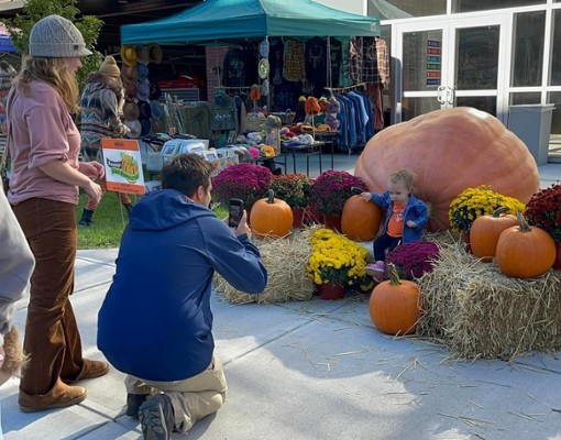 people taking photos of pumpkins