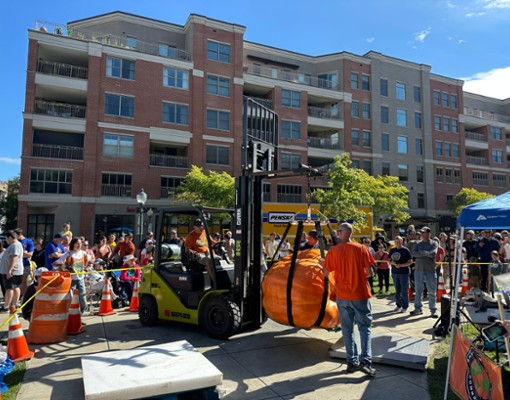giant pumpkin festival