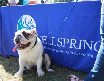 dog in front of vendor booth