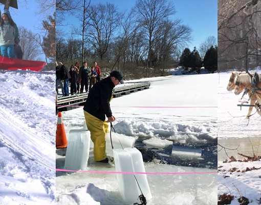 sledding and winter activity