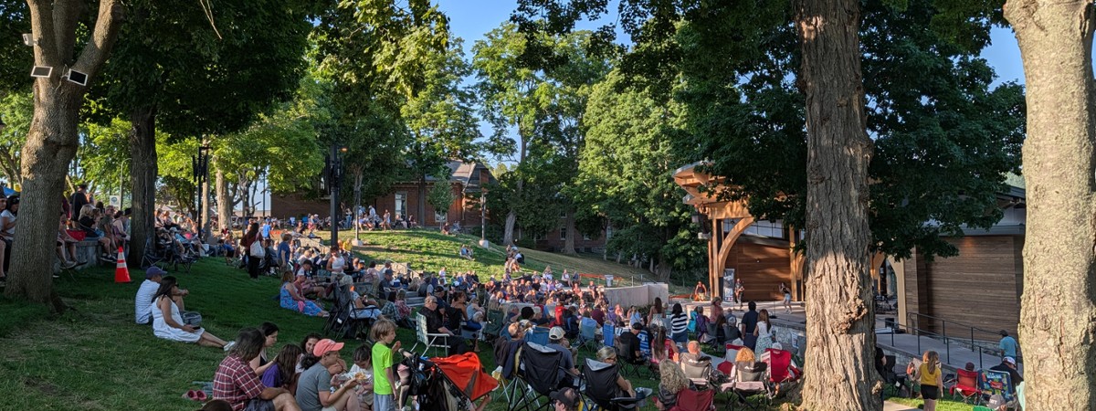 crowd at outdoor concert