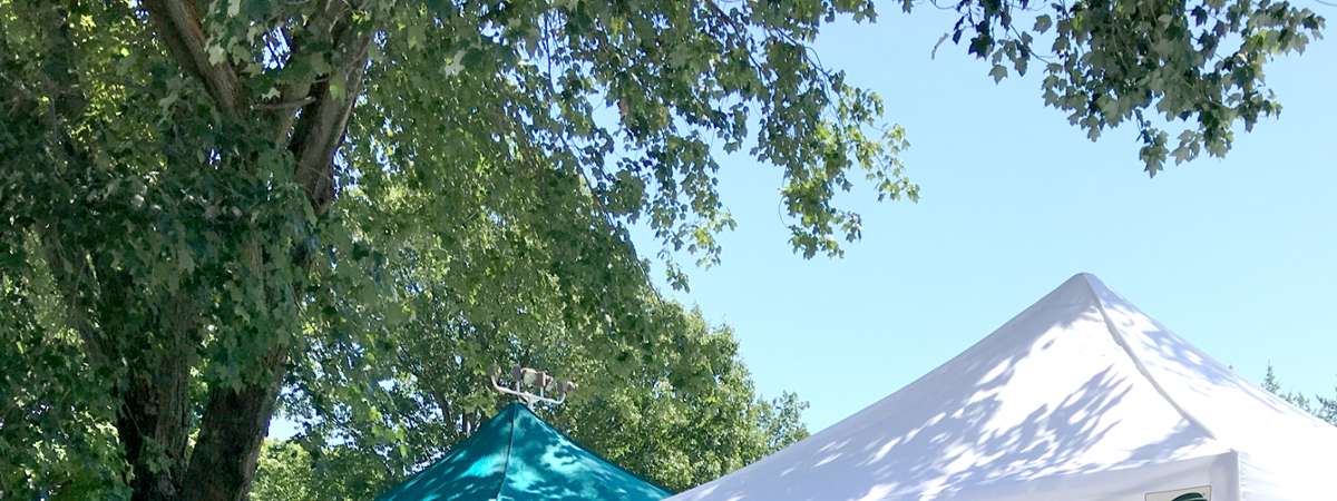 vendors at festival