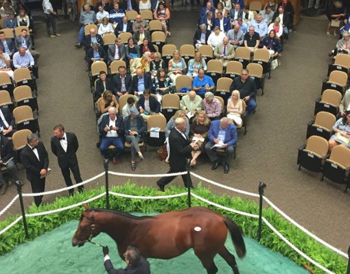 fasig tipton horse sale