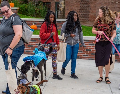 Quackenbush Square: Hounds of Halloween