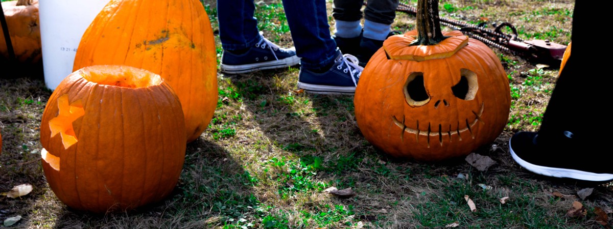 jack o lanterns