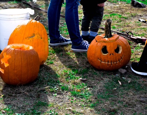 jack o lanterns