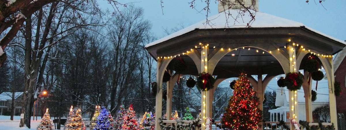 gazebo and park with trees and holiday lights