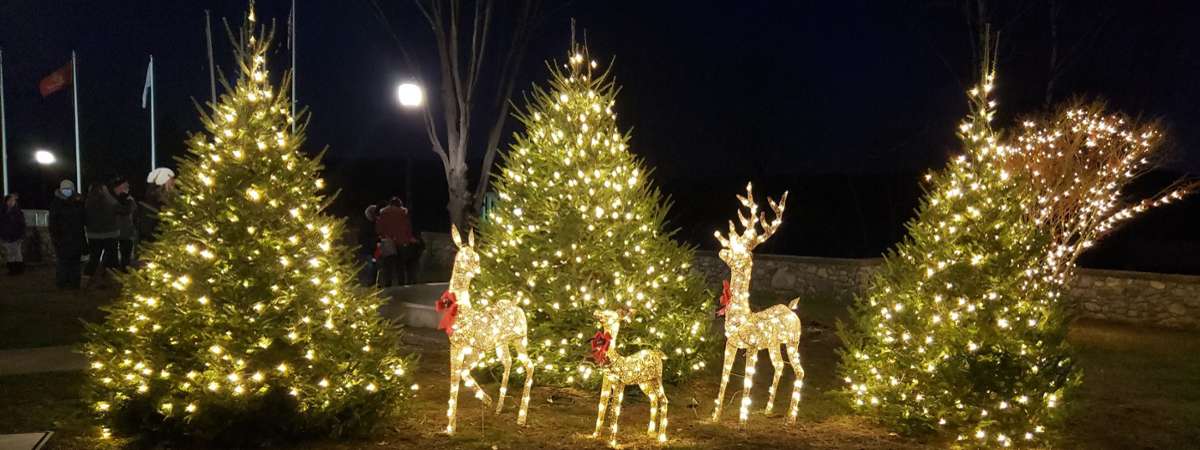 outdoor christmas trees with deer decorations