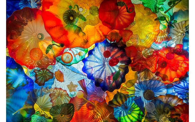 Homeschool Series – THE GLASS ART OF DALE CHIHULY (1)