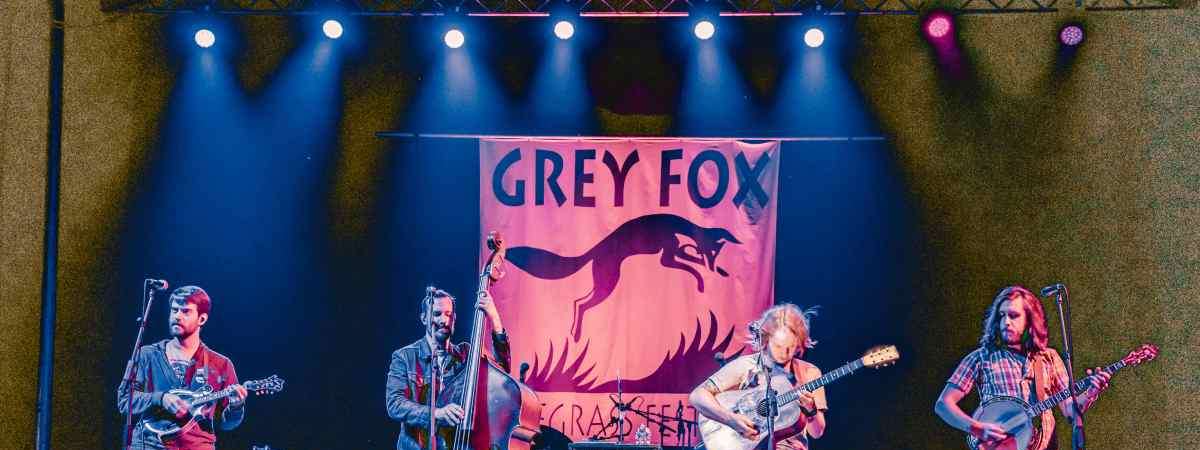 band with grey fox banner behind them