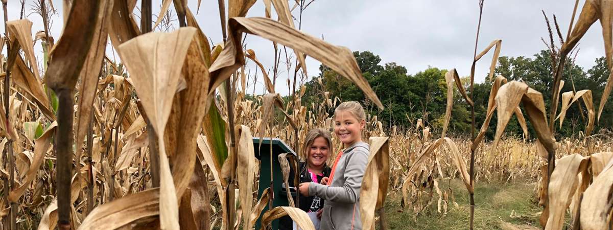 kids in corn field