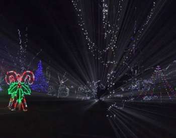 holiday lights show in park