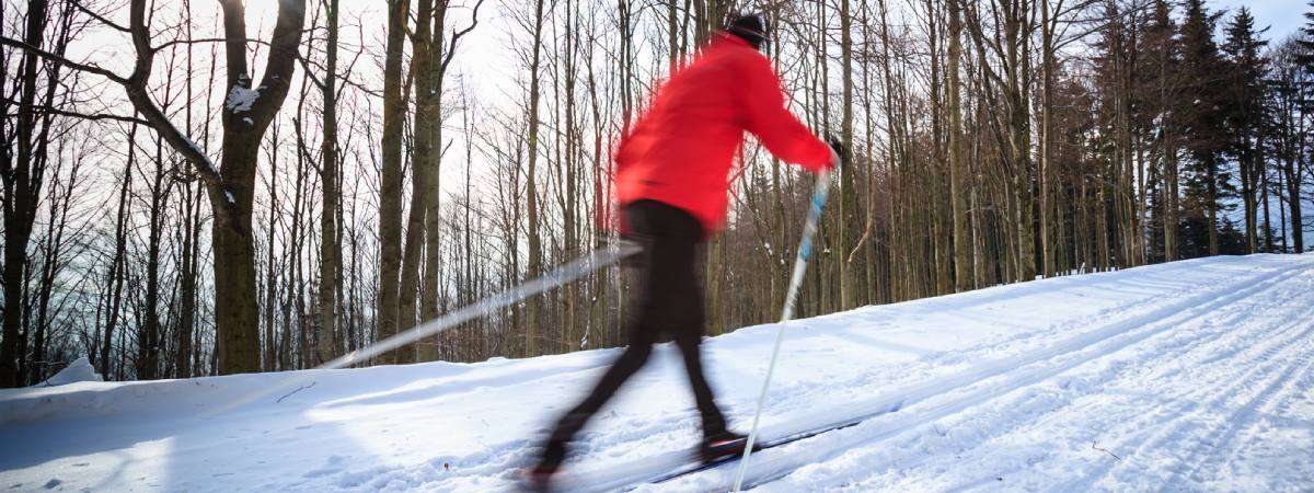 cross-country skier in red jacket