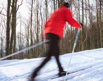 cross-country skier in red jacket