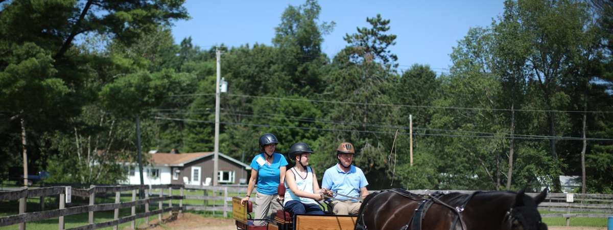 people on horse drawn wagon ride