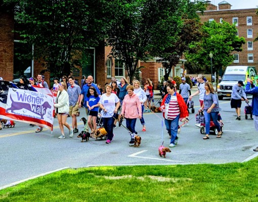 weiner walk in glens falls queensbury memorial day parade