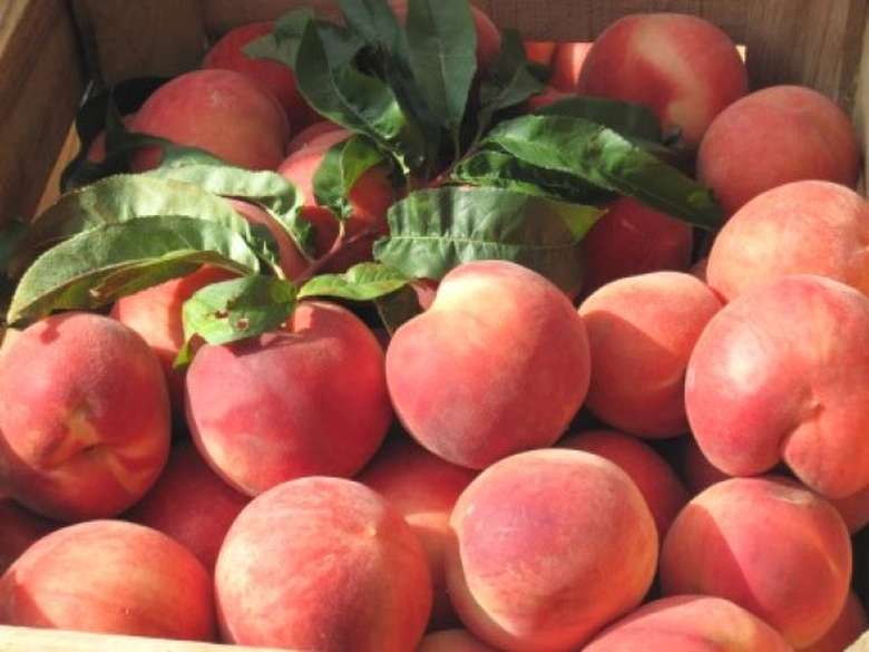Peaches at the Market