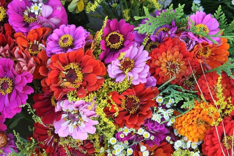 Summer flowers at the Market