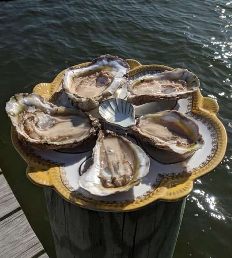 Oysters at the Market
