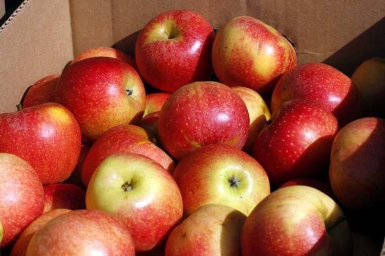 Apples at the Market