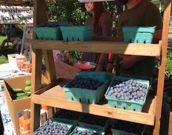 stand with containers of blueberries on them
