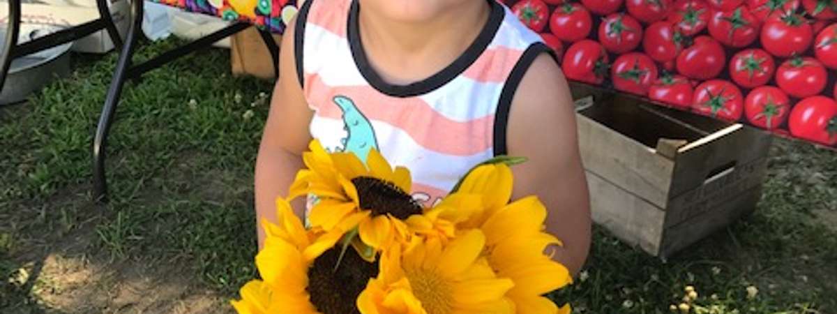 kid holds sunflowers
