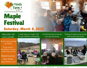 Maple Festival 2025 info