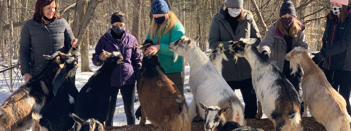 Wild Walk Adventure with goats At Into The Woods Farm