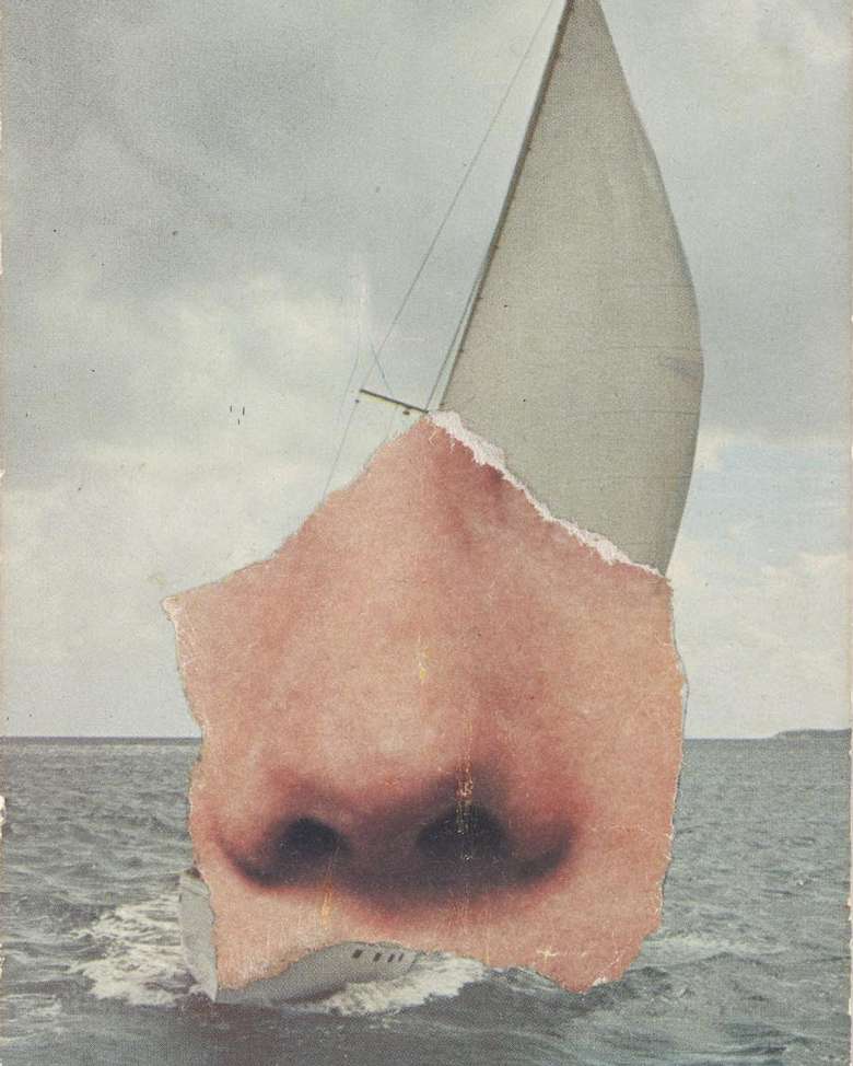 Ellsworth Kelly, ‘Nose / Sailboat’, 1974, collection of Ellsworth Kelly Studio and Jack Shear artwork of nose and ocean