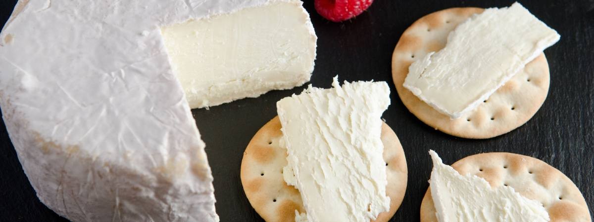 cheese wheel and cheese and crackers