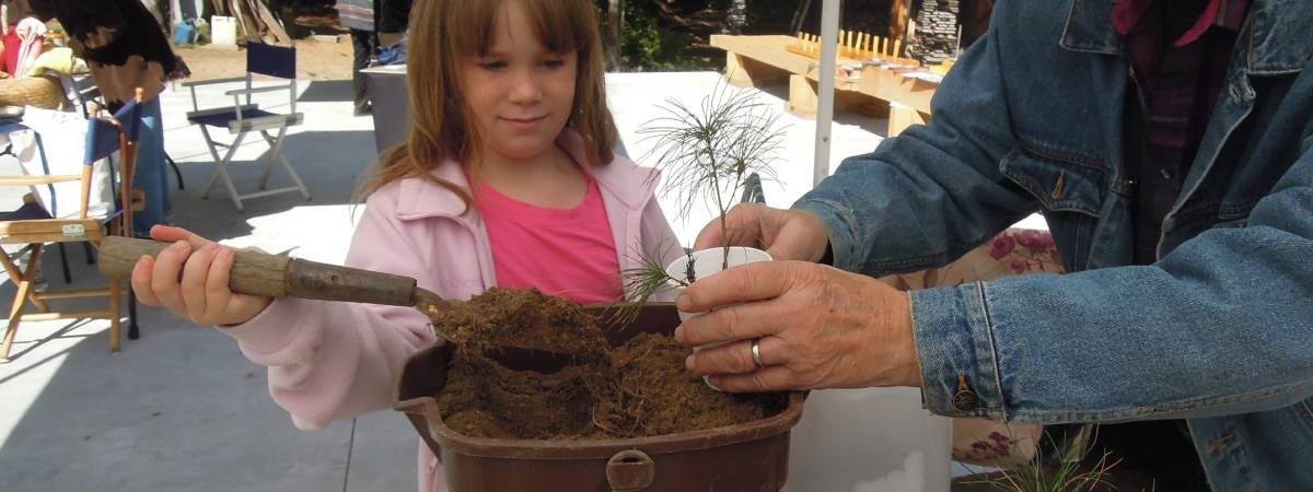 girl planting something