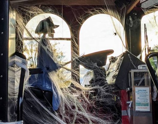 skeleton at the wheel of trolley