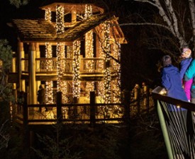 family looks at wild lights