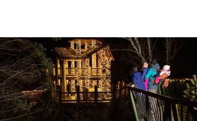 family looks at wild lights