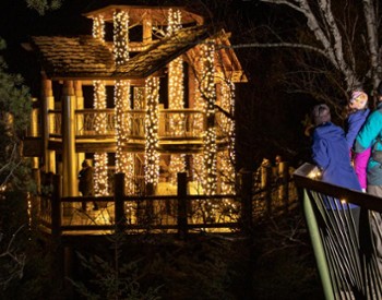 family looks at wild lights