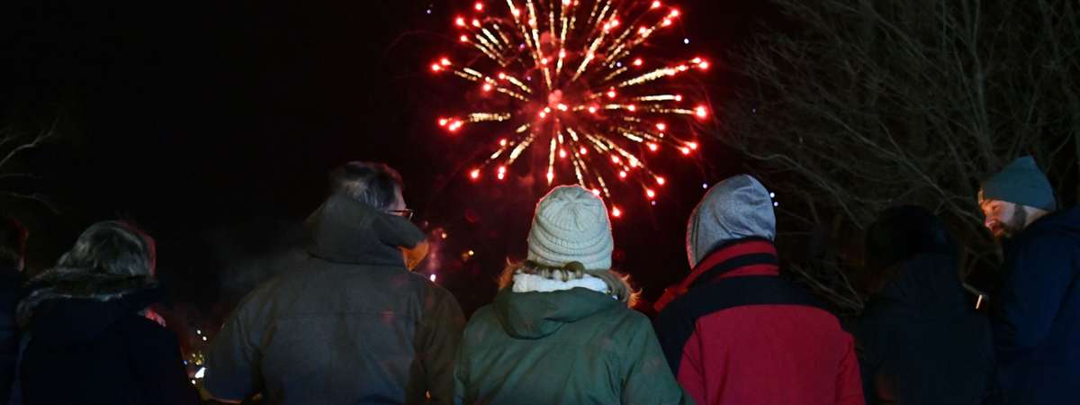 three people watching fireworks at night