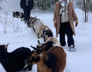 Snowshoe Adventure at intothewoodsfarmny.com